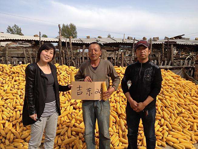 吉東54 吉東54