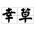 幸草 幸草
