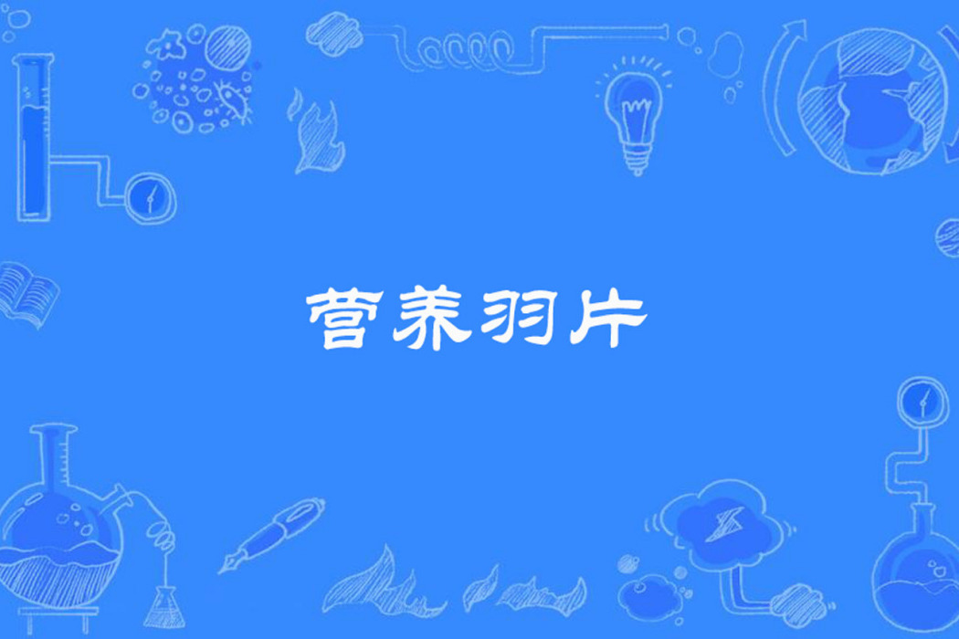 營養羽片 營養羽片
