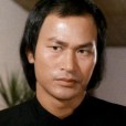 狄威(中國香港著名武打演員,導演、編劇) 狄威(中國香港著名武打演員,導演、編劇)