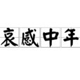 哀感中年 哀感中年