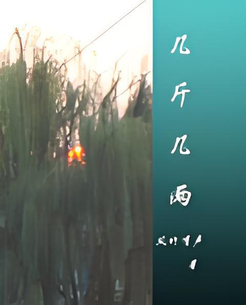 幾斤幾兩(風竹有聲創作的網路小說) 幾斤幾兩(風竹有聲創作的網路小說)