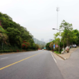 廈門怪坡 廈門怪坡