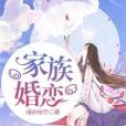 家族婚戀 家族婚戀