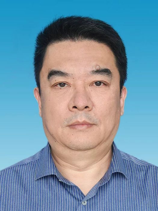 鄭傑(湖北省鹹寧市國土整治局局長) 鄭傑(湖北省鹹寧市國土整治局局長)
