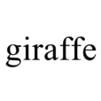 giraffe
