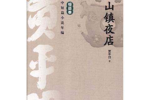 山鎮夜店(2018年山東人民出版社出版的圖書)