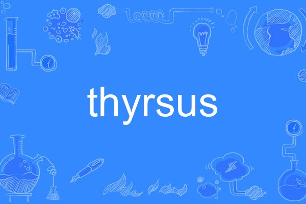 thyrsus thyrsus