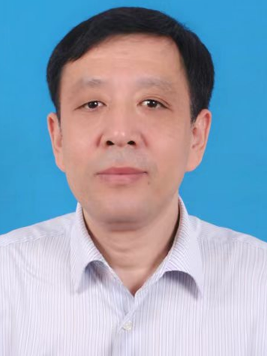 王海城(河北省水利水電勘測設計研究院副總工程師兼安全監測中心主任) 王海城(河北省水利水電勘測設計研究院副總工程師兼安全監測中心主任)