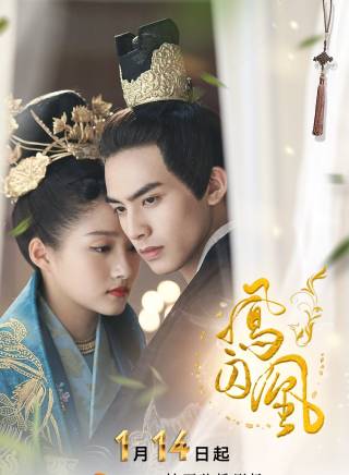 白鹿 白鹿