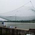 泖新村 泖新村