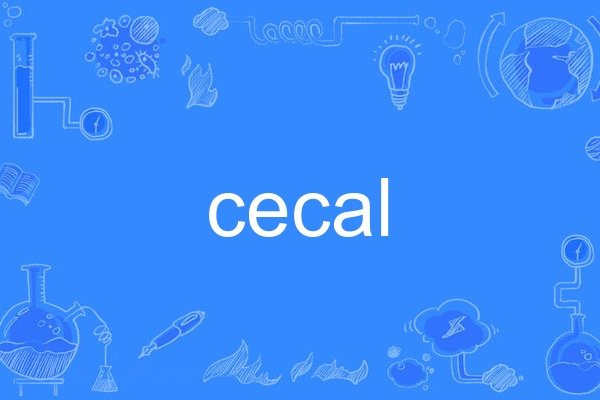 cecal cecal