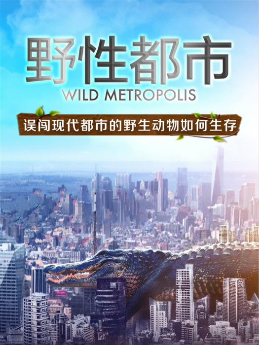 野性都市 野性都市