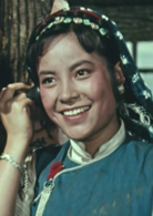 五朵金花(1959年王家乙執導電影) 五朵金花(1959年王家乙執導電影)