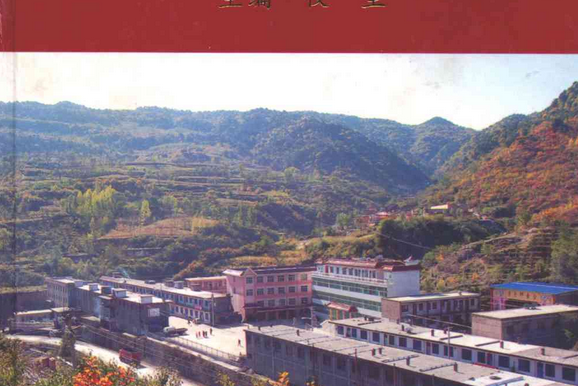 李子坪村志 李子坪村志