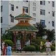 陶圩完全中學 陶圩完全中學