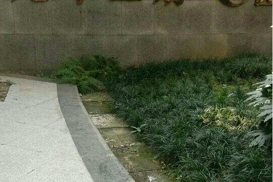 龍華二期C區 龍華二期C區