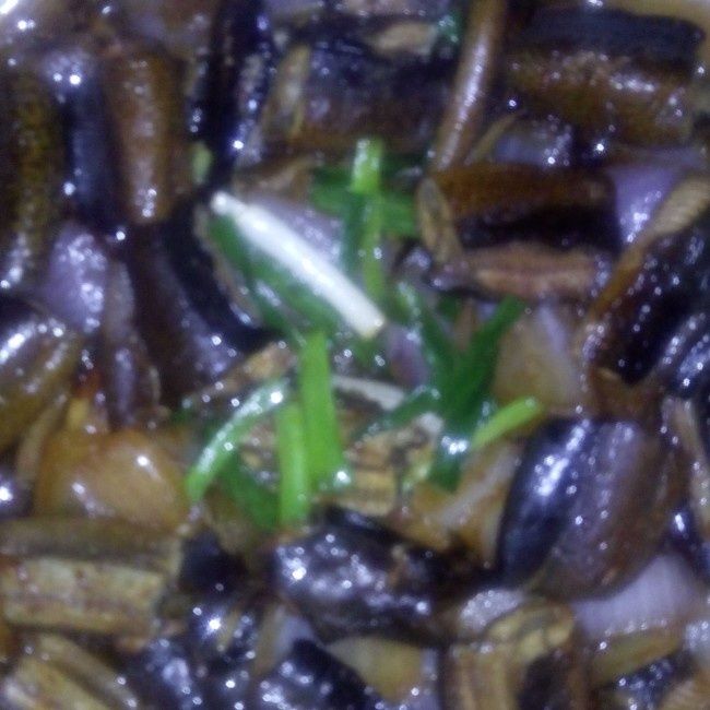 洋蔥鱔貝 洋蔥鱔貝