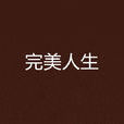 完美人生(網路小說《完美人生》)