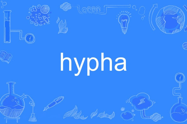 hypha hypha