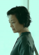 山河故人(2015年賈樟柯導演文藝劇情片)