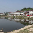 王河村(西安市藍田縣前衛鎮王河村) 王河村(西安市藍田縣前衛鎮王河村)