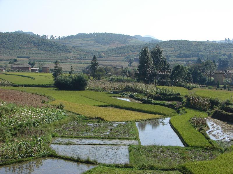 石口子村(雲南曲靖市師宗縣竹基鄉) 石口子村(雲南曲靖市師宗縣竹基鄉)