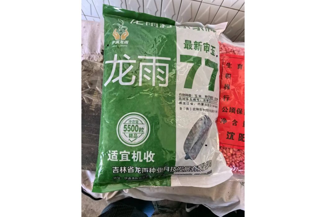 龍雨77