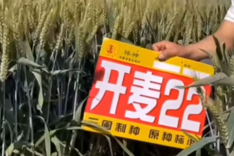 開麥22 開麥22