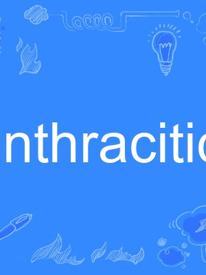 anthracitic anthracitic