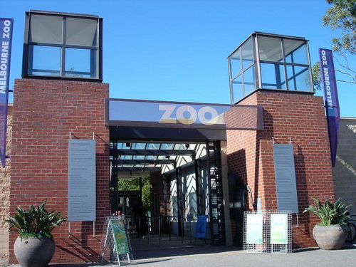 墨爾本動物園
