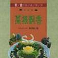 菜根飄香 菜根飄香