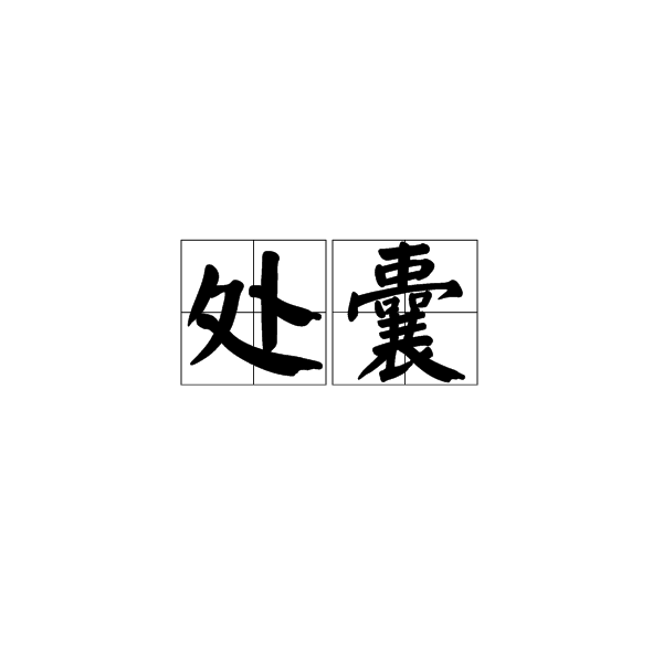 處囊 處囊