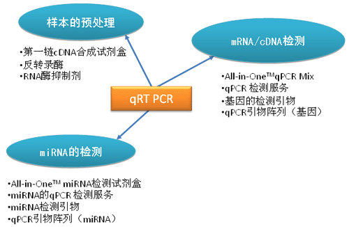逆轉錄PCR(RT-PCR)
