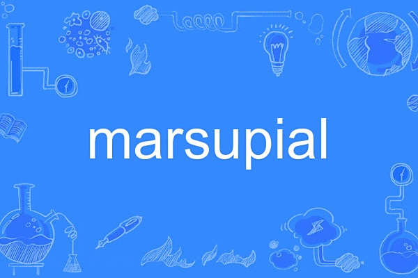 marsupial marsupial