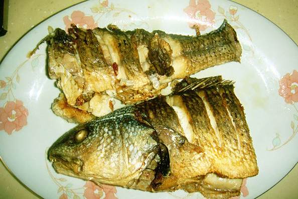 燒腳魚 燒腳魚