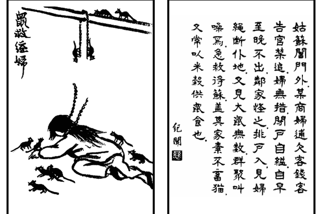 鼠救縊婦 鼠救縊婦