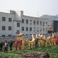 中埠村(廣東廣州市番禺區大崗鎮下轄村) 中埠村(廣東廣州市番禺區大崗鎮下轄村)