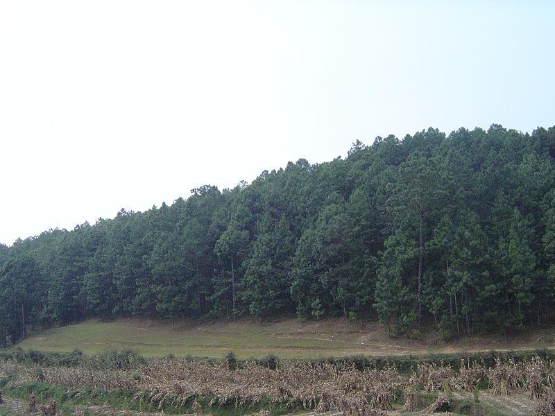 書西村 書西村