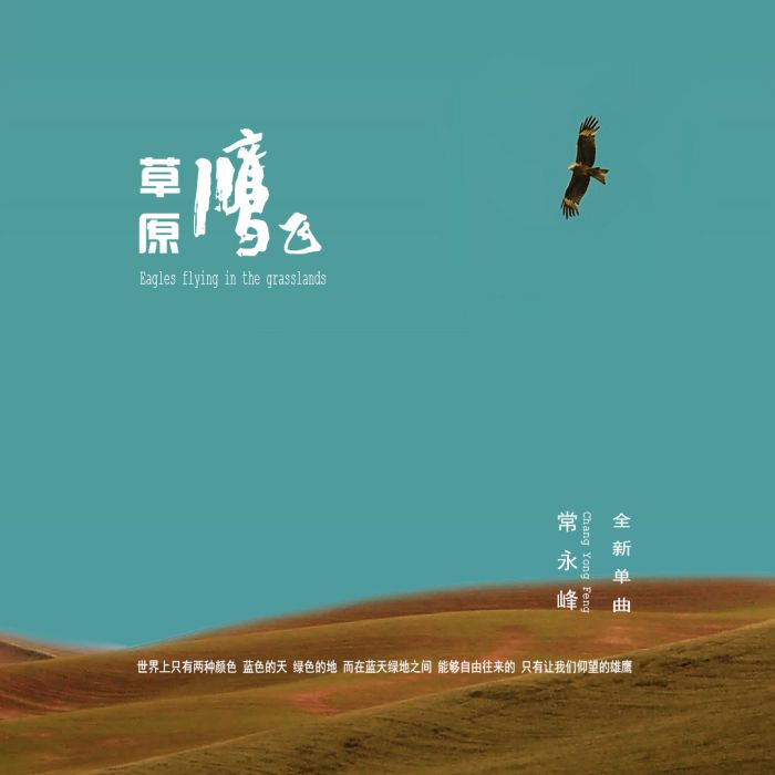 草原鷹飛 草原鷹飛