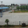 紫霞村(浙江省杭州市蕭山區轄村) 紫霞村(浙江省杭州市蕭山區轄村)