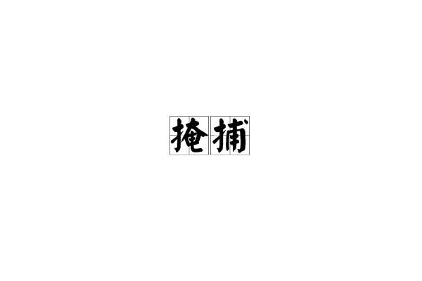掩捕 掩捕