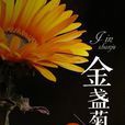 金盞菊(風起中文網小說) 金盞菊(風起中文網小說)