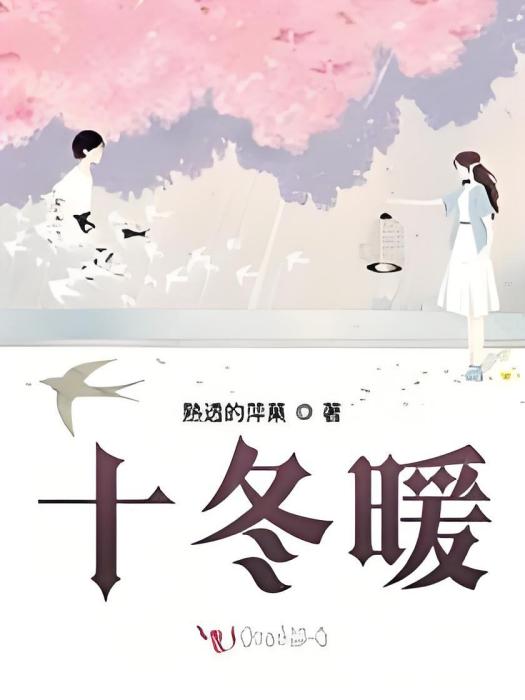 十冬暖 十冬暖
