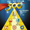 2013中國民營企業500強