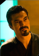鐵拳(2010年德懷特H·里特導演電影)