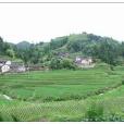 偏山寨村 偏山寨村