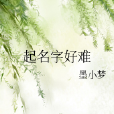 起名字好難 起名字好難