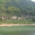 張村村(浙江景寧畲族自治縣鶴溪街道下轄村) 張村村(浙江景寧畲族自治縣鶴溪街道下轄村)