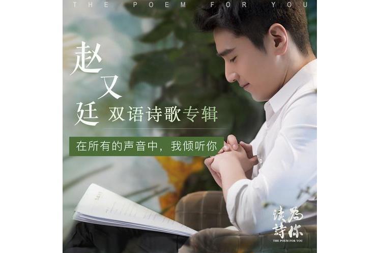 當你老了(趙又廷演唱的歌曲) 當你老了(趙又廷演唱的歌曲)